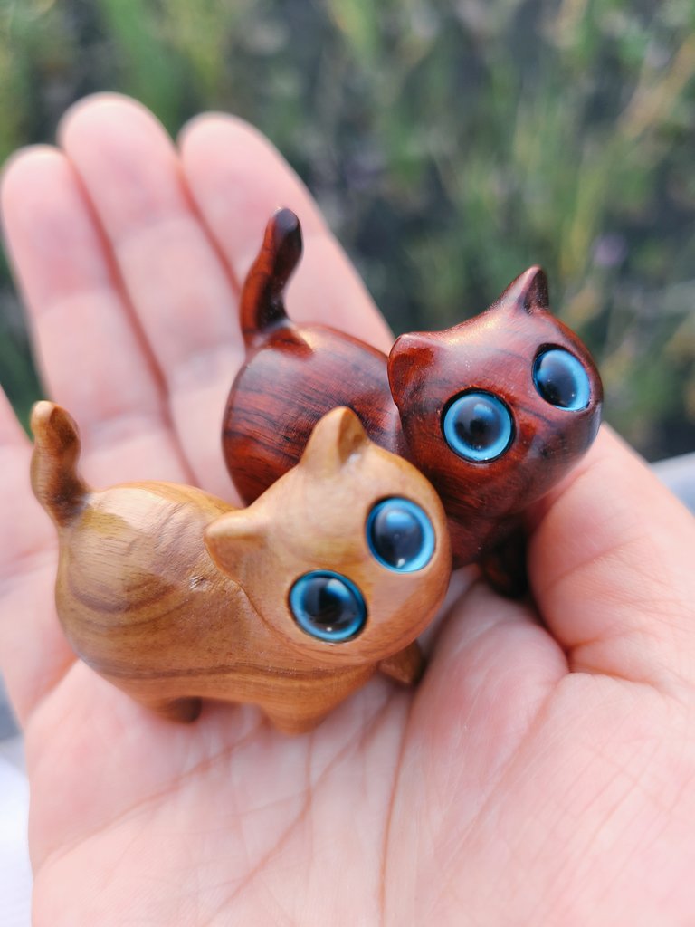 大阪万博コモンズDにある南スーダンの猫