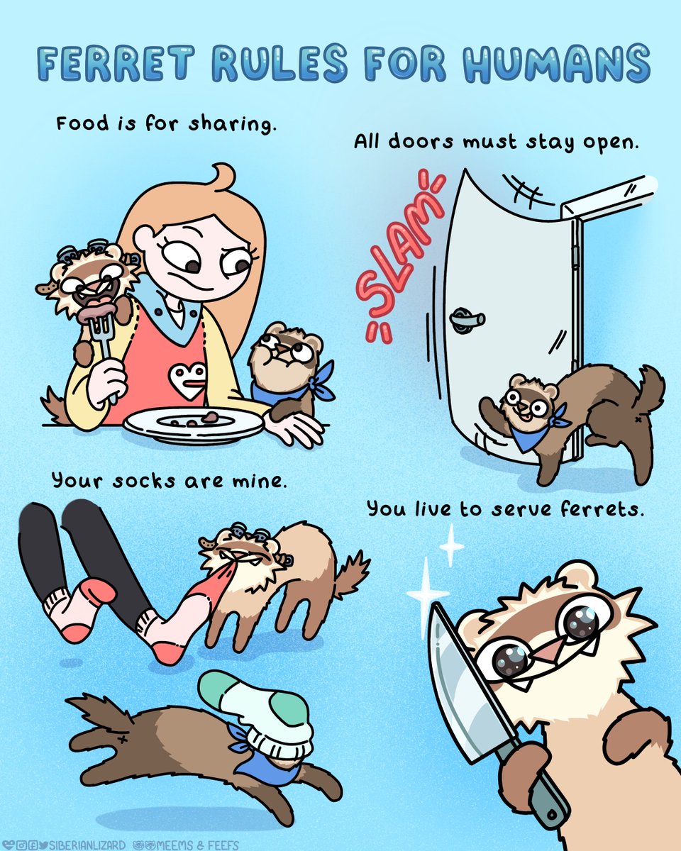 Ferrets don’t follow rules. They enforce them. Obey or be dooked at. 🐾#ferrets #ferretlife