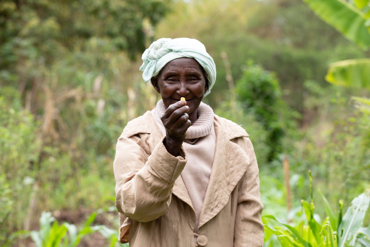 Power Shift Africa tweet media