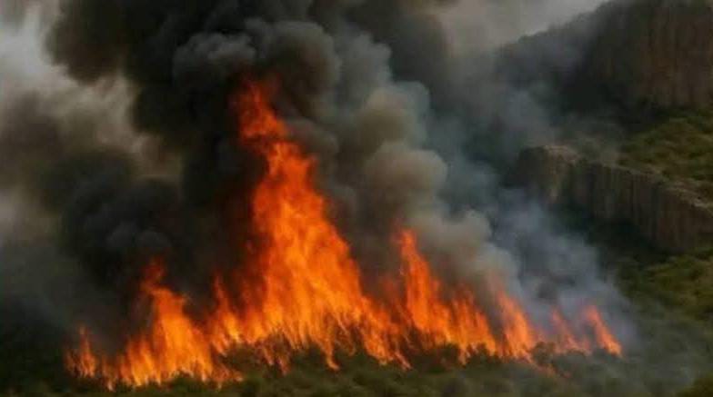 sahradir's tweet photo. Halaag weyn ayaa ka kacday buuraha Dallow ee gobolka Sanaag, dadka deegaanka ayaa ku baaqaya in si degdeg ah loo farageliyo kahortagga dabka oo ilaaliya dhulalkooda beeraha muhiimka ah.. Ilaahay ha naga badbaadiyo!🔥🙏
#Sanaag #Dallo #Dabka #Somalia https://t.co/qv2sbIMaFb