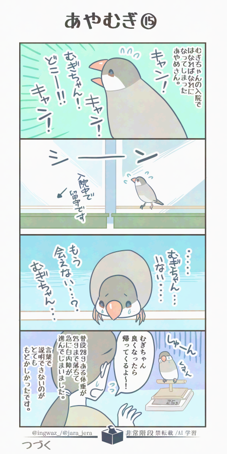 むぎちゃんとあやめさんの過去話 その15。

    #漫画が読めるハッシュタグ #buncho #文鳥 