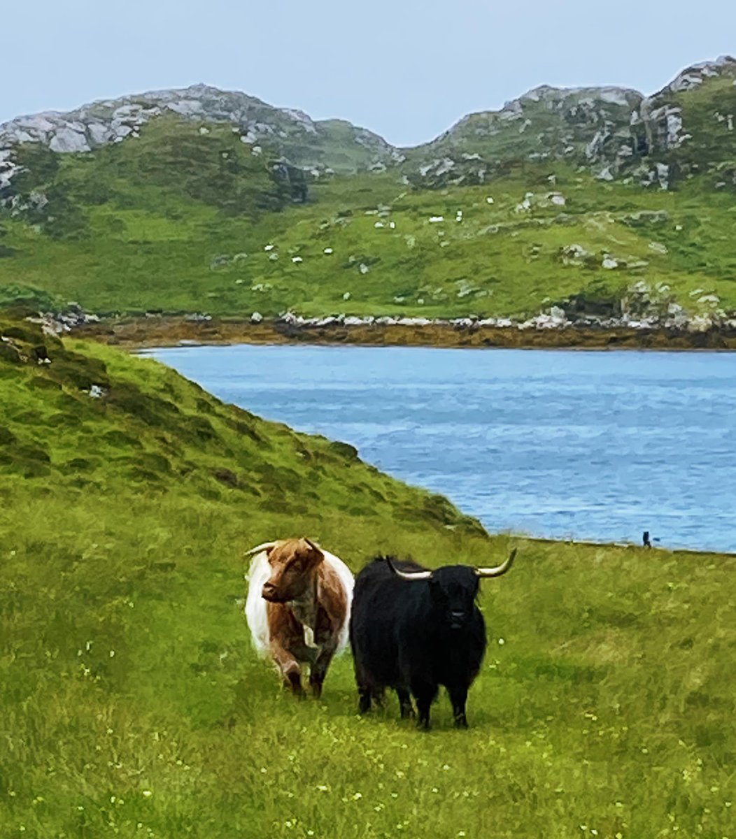 The goal isn’t to copy others.
It’s about spotting gaps, finding your niche, and making smart, informed decisions that reflect what visitors actually want.
#TourismStrategy #SelfCateringScotland