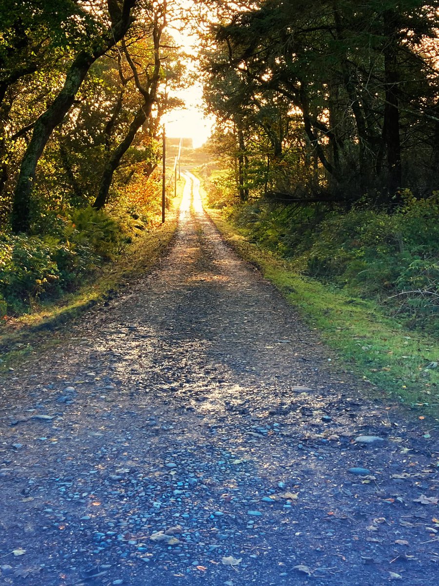 Currently working on a tourism competitor audit—vital for shaping the strategy and business plan. It’s not just about pricing, but understanding the whole landscape so you can stand out.
#ScottishTourismExpert #TourismMarketing