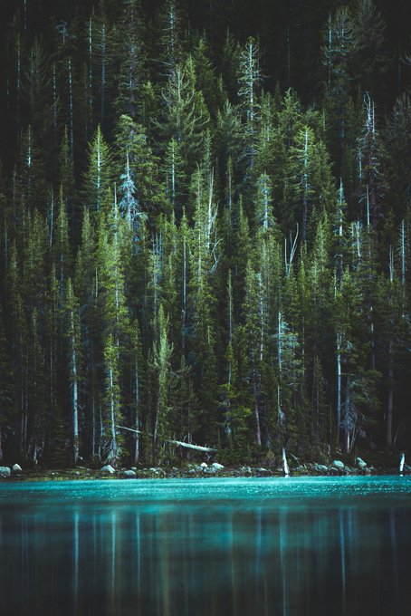 Yosemite Valley California photographer Casey Horner 