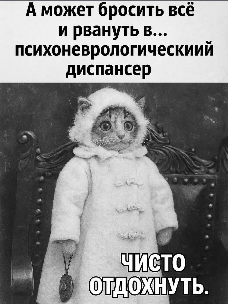 Психолог (@true_psyholog) on Twitter photo 