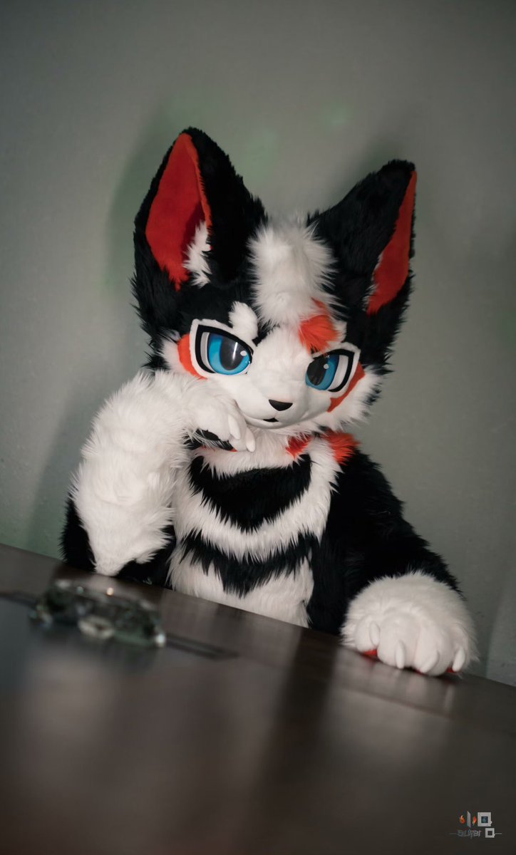 mutiantiantian's tweet photo. 老照片～
#furry #fursuit #FursuitEveryday #福瑞 https://t.co/tspcHLLxRm