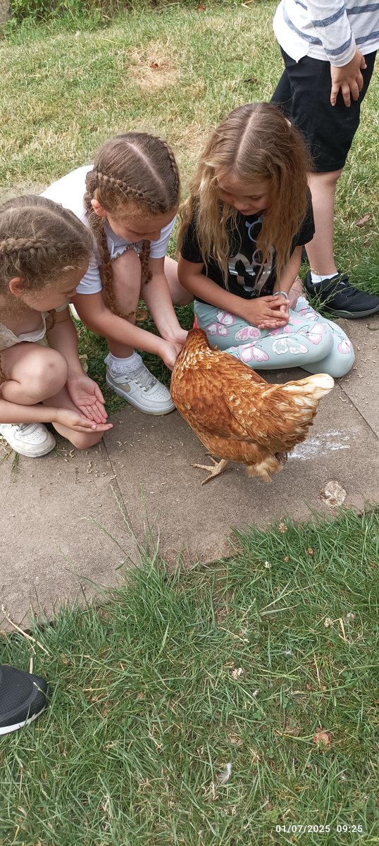 Fordbridge Primary tweet media