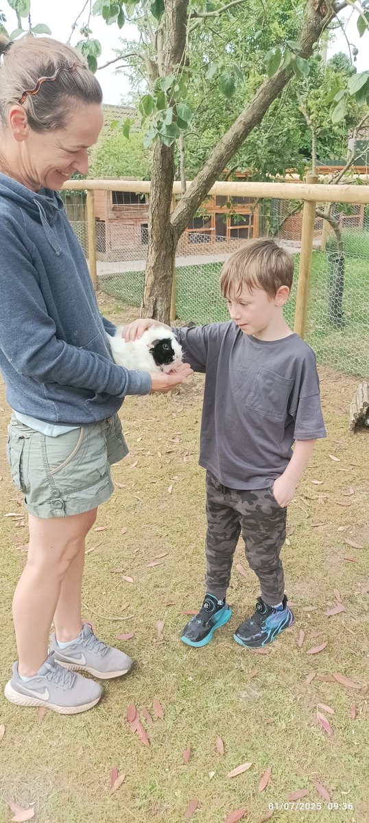 Fordbridge Primary tweet media