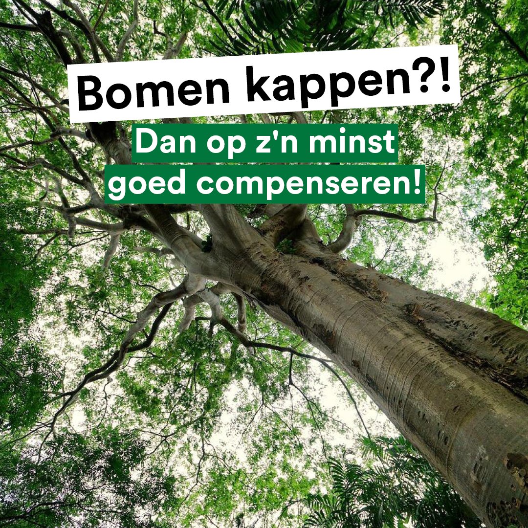 💰 € 220 miljoen voor oude plannen, en ten koste van vele honderden #bomen?!

🛣️ De ‘Gebiedsontwikkeling Oostelijke Langstraat’, afgekort #GOL, is een prestigeproject voor vooral betere verkeersdoorstroming en een beetje natuur in de regio tussen #Waalwijk en #DenBosch.

🧵👇