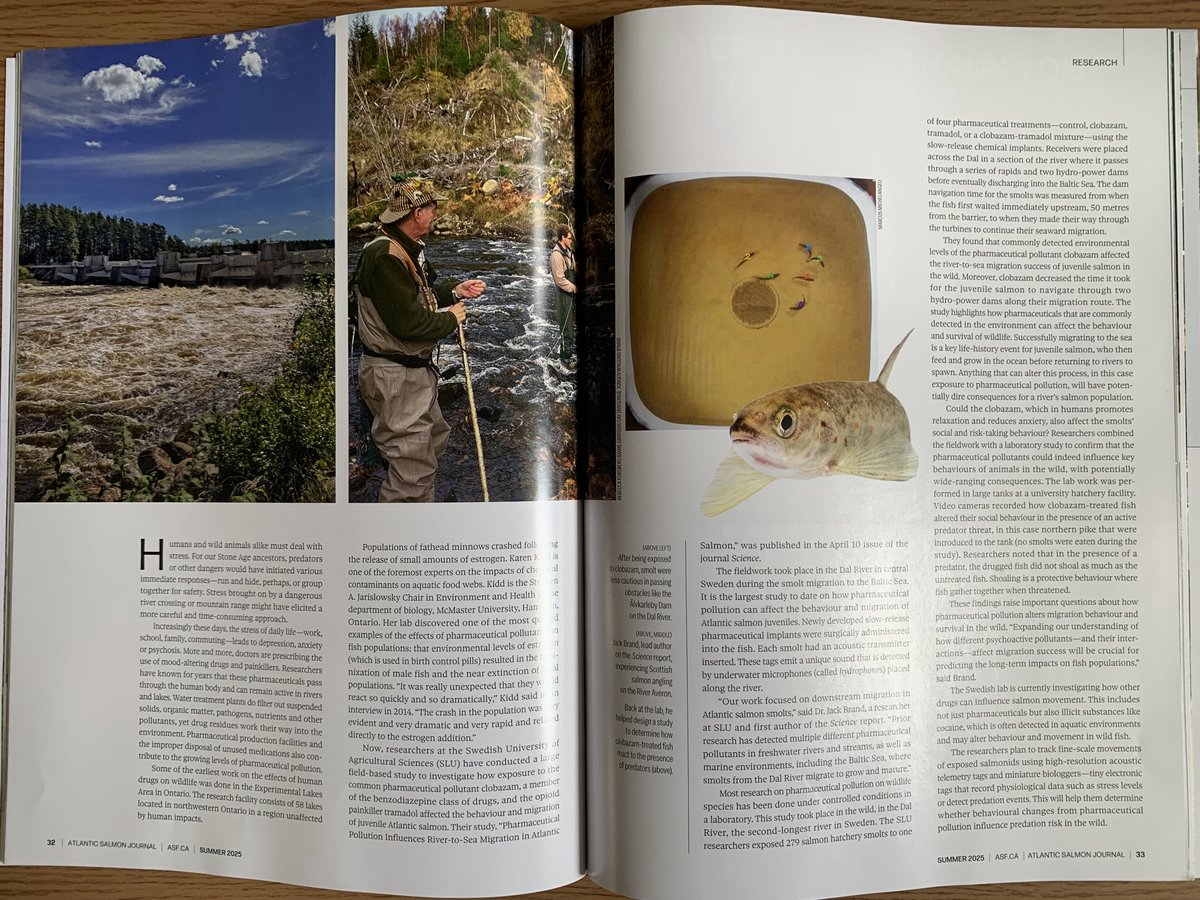 Received the latest copy of the <a href="/ASFSalmon/">ASF</a> Atlantic Salmon Journal this morning, which featured our recent work on the effects of psychoactive pharmaceuticals on the migration success of Swedish salmon smolts!