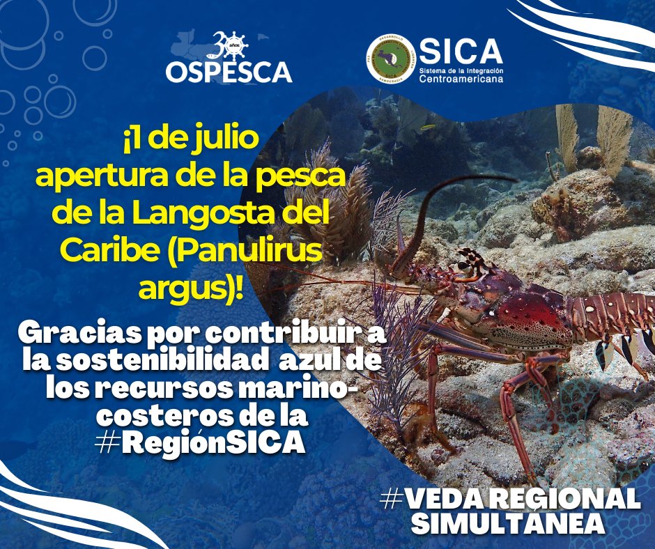 Nuestro reconocimiento a las autoridades de pesca y acuicultura de la #RegiónSICA e instituciones que han apoyado, en particular a pescadores artesanales e industriales, comerciantes y población en general, por el respaldo a la sostenibilidad azul de los recursos marino-costeros.