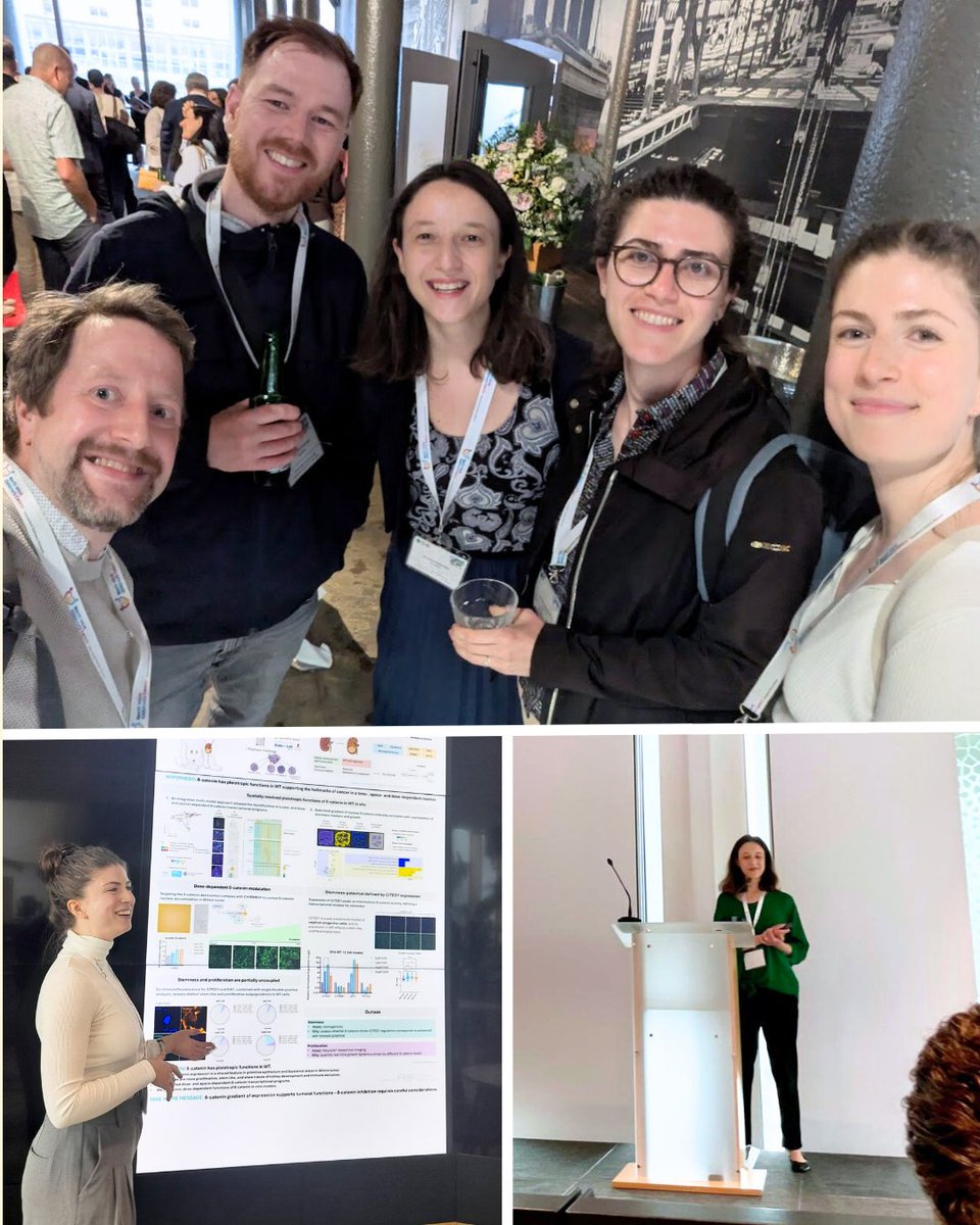 StAnna_CCRI's tweet image. 🧬 Proud of our team's contribution at the SIOP-RTSG annual meeting in Liverpool! Our researchers presented cutting-edge work on Wilms tumor research - from single-cell biomarker discovery to β-catenin investigations.