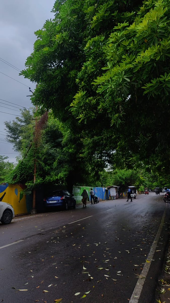 देखो तो जरा 
शजर कितना हरा भरा 
झूमती ,मस्तियों में 
हवा की तरह 
पते पते 
साख साख 
खड़ा अडिग दीवार की तरह 
जुझते झंझावात जीवन में
सदाबहार हरा भरा 
देखो तो जरा 
शजर कितना हरा भरा ...!!

#बज्म