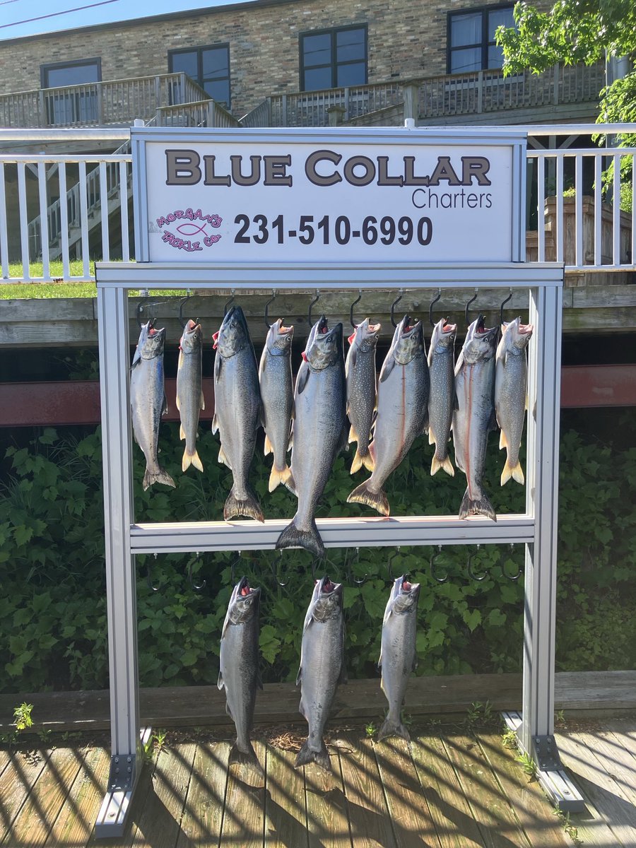 Not a bad morning’s work for 4 guys!