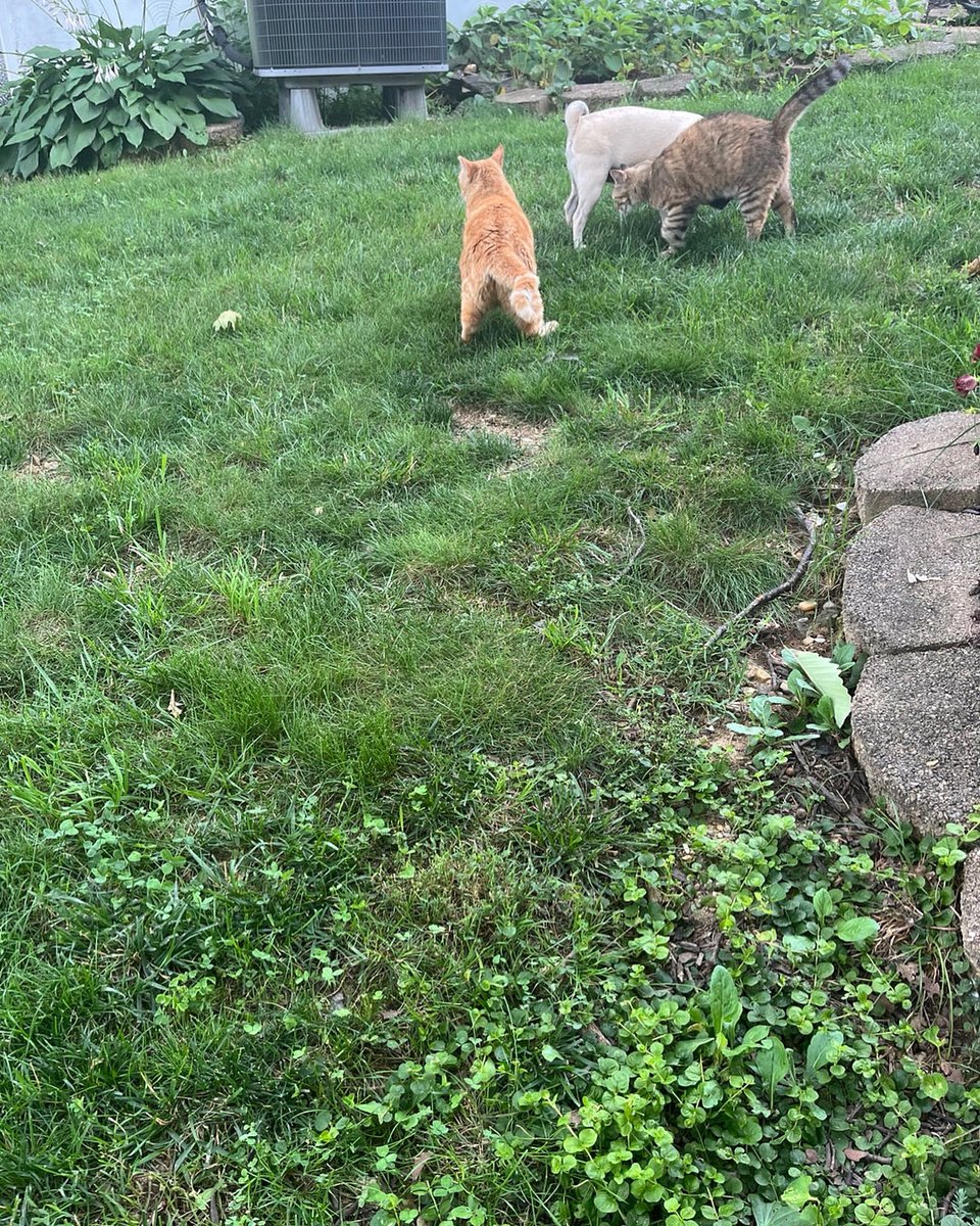 Me and my friend having a great day before the storms.