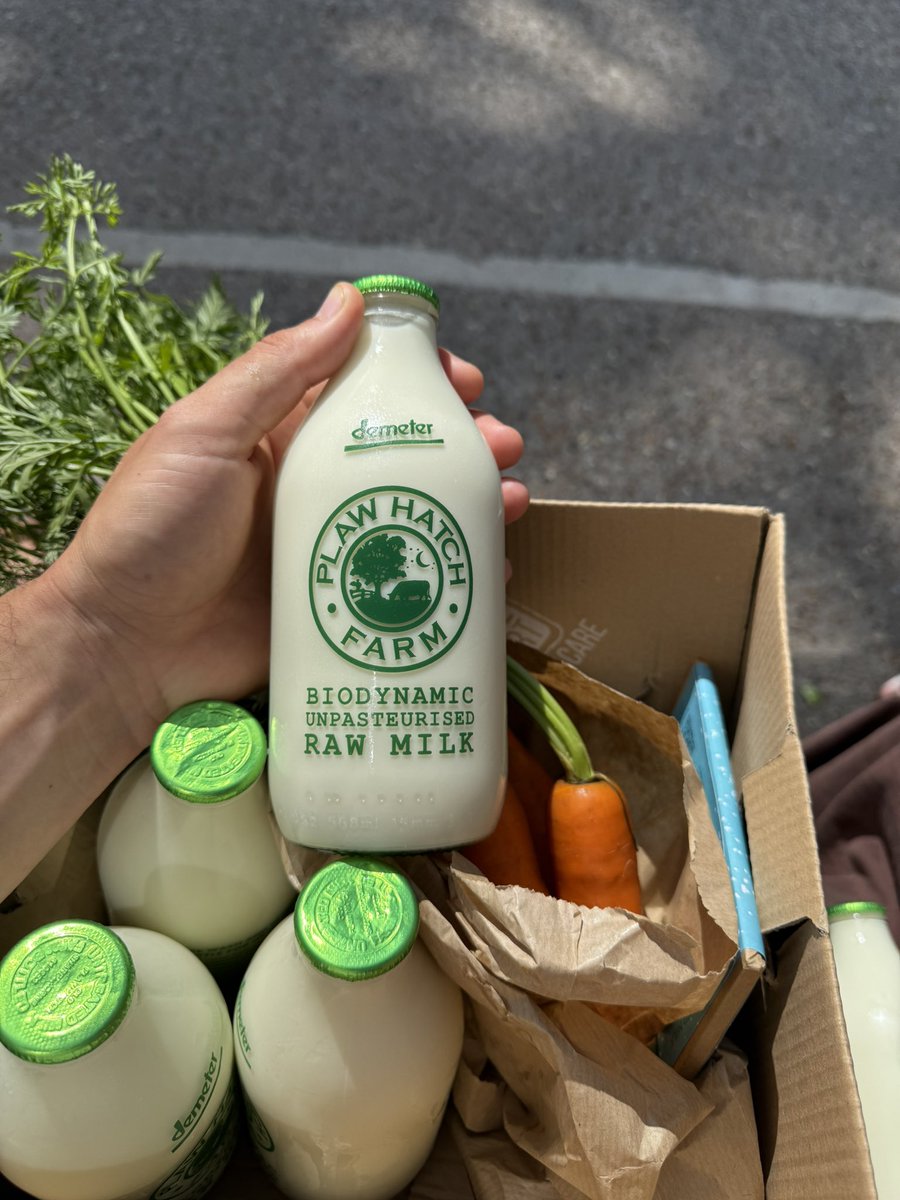 mralexthomas's tweet image. Raw milk in a glass bottle & coconut water intra workout >>
You cannot sleep on this one brothers.