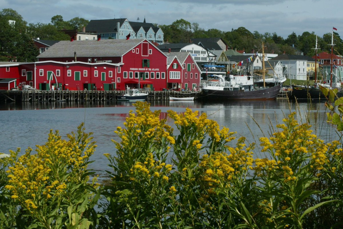 🇩🇪🇨🇦 Happy Canada Day! / 🇩🇪🇨🇦 Bonne fête du Canada !