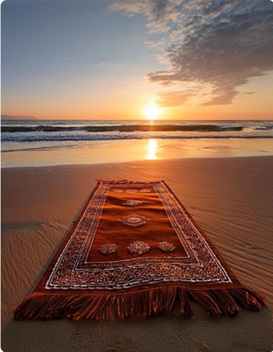{إِنَّكَ لَا تَهْدِي مَنْ أَحْبَبْتَ وَلَٰكِنَّ اللَّهَ يَهْدِي مَن يَشَاءُ}