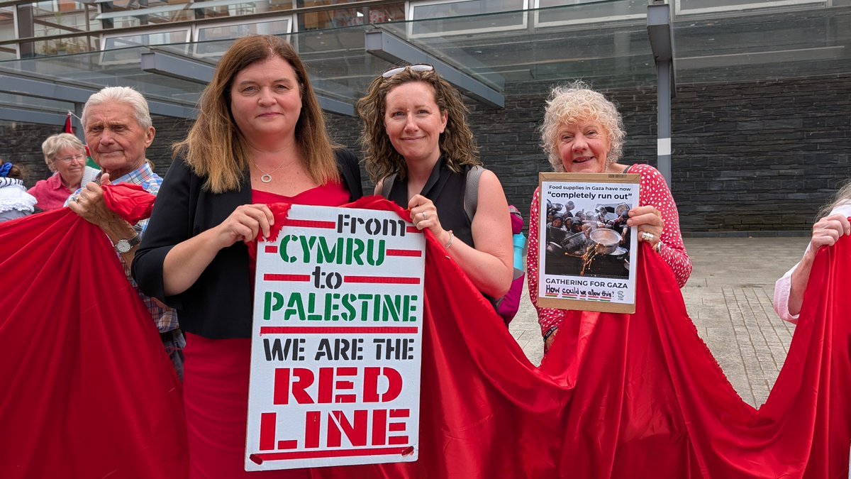 Sioned_W's tweet photo. I joined @OxfamCymru and many more at the red line protest around the Senedd today to call for a full arms embargo against Israel and an end to the genocide in Gaza.

#RedLineForPalestine https://t.co/wIx9aAwSr7