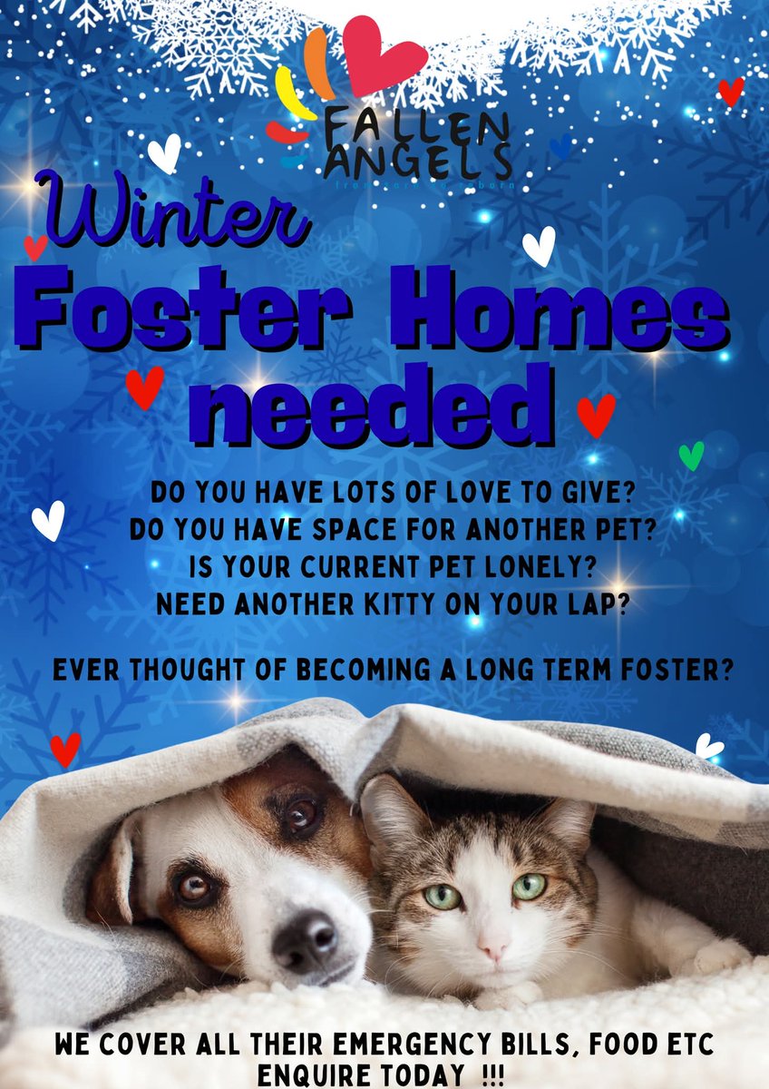 Cape Town (@allcapetown) on Twitter photo We are looking for LOVING PET OWNERS who can squeeze a foster furry into their arms and hearts! Emergency vet bills, food, vaccinations, deworming all covered. E: info@fallenangels.co.za or Whatsapp Gayl on 084 688 7111
Western Cape Only We are looking for LOVING PET OWNERS who can squeeze a foster furry into their arms and hearts! Emergency vet bills, food, vaccinations, deworming all covered. E: info@fallenangels.co.za or Whatsapp Gayl on 084 688 7111
Western Cape Only