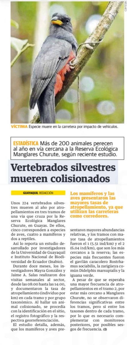 INABIO.EC (@inabio_ec) on Twitter photo ▶️#INABIOEnMedios | Se reportan 224 vertebrados silvestres muertos por atropellamiento en un año en la Reserva Ecológica Manglares Churute. Nota <a href="/quenoticiasec/">Qué Noticias!</a>. ▶️#INABIOEnMedios | Se reportan 224 vertebrados silvestres muertos por atropellamiento en un año en la Reserva Ecológica Manglares Churute. Nota <a href="/quenoticiasec/">Qué Noticias!</a>.
