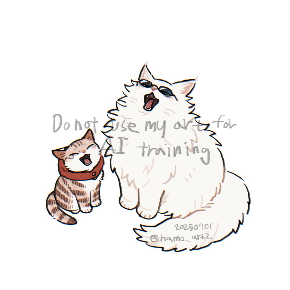 hamo(박지은)🎗️ tweet media