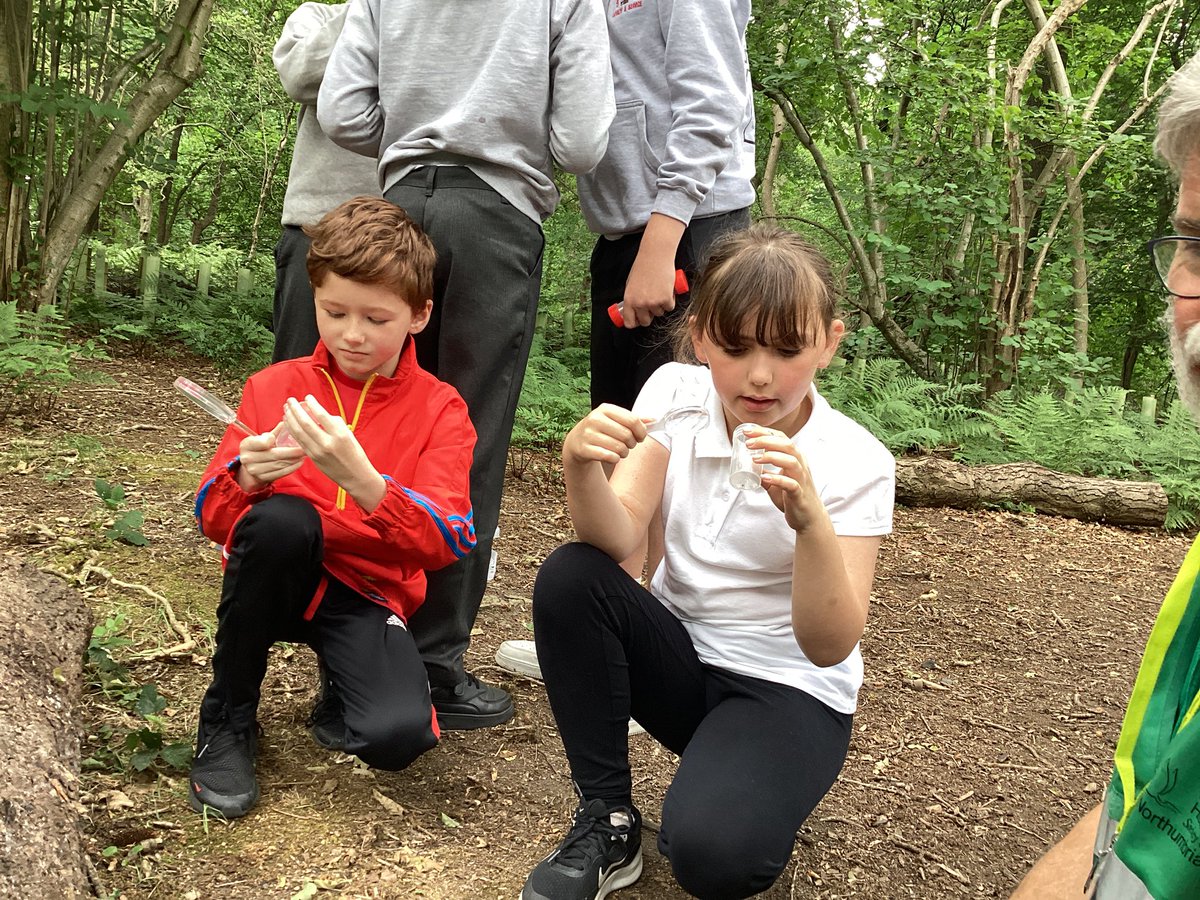 CollingwoodEco_'s tweet photo. We had a brilliant trip to Gosforth Nature Reserve today 🌳 🐜 🐞 ��� https://t.co/woeE47ABFv