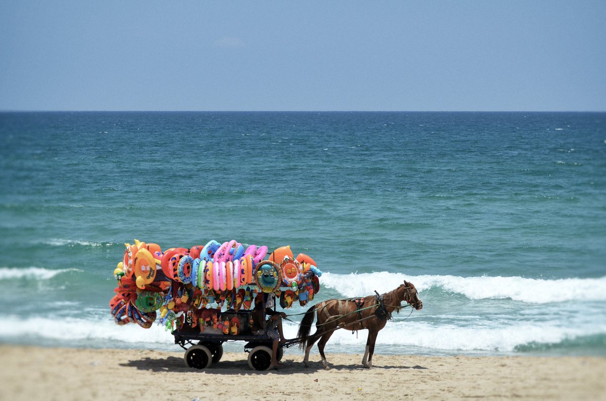 Molts dels meus amics de Gaza estan morts.

O han assassinat a la seua família.

Tots ells ho han perdut tot.

Menys la dignitat.

I la resistència.

És un deure.

Combatre per Gaza.

Per neutralitzar al règim israelià.

Per aconseguir l'alliberament de Palestina.