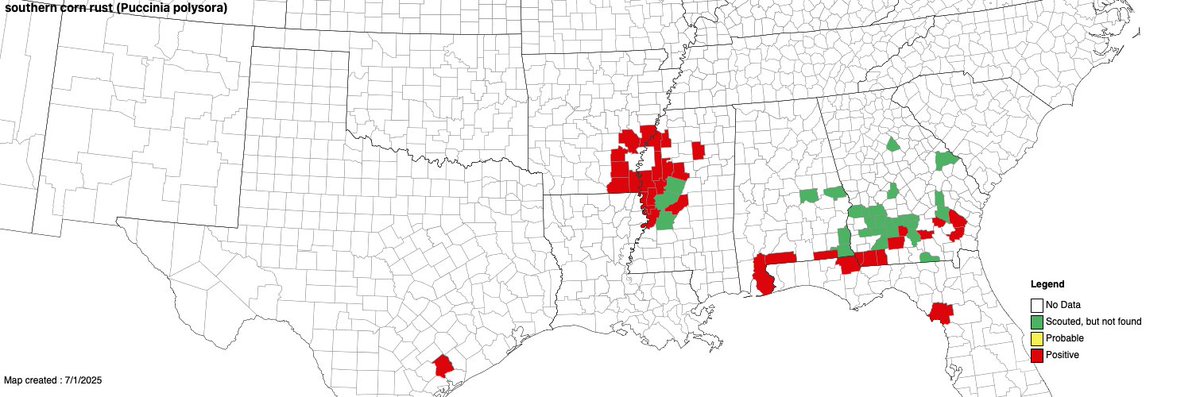 Tom Allen (@baldpathologist) on Twitter photo The southern rust map cropprotectionnetwork.org/maps/southern-…
is NOT a "spray advisory" map. Follow the spread of the disease, determine corn growth stage, scout your crop, make a decision to apply a fungicide on budget, ROI, growth stage, presence of southern rust #mscrops <a href="/MississippiCorn/">Mississippi Corn Promotion Board</a> The southern rust map cropprotectionnetwork.org/maps/southern-…
is NOT a "spray advisory" map. Follow the spread of the disease, determine corn growth stage, scout your crop, make a decision to apply a fungicide on budget, ROI, growth stage, presence of southern rust #mscrops <a href="/MississippiCorn/">Mississippi Corn Promotion Board</a>