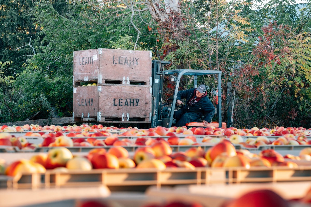 Sollio Groupe Coopératif tweet media