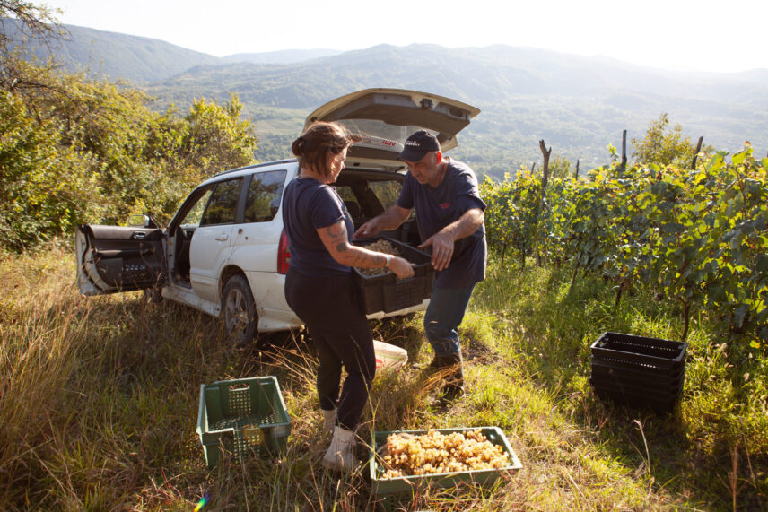 FoodAnth's tweet image. Our member-author, Rikki Brown, proposed an audio-photo essay which prompted Anthro News to add an audio modality to the site! Hurray for multi-sensory research in food studies! Listen in as you soak up these incredible images of her research: anthropology-news.org/articles/buzzy…