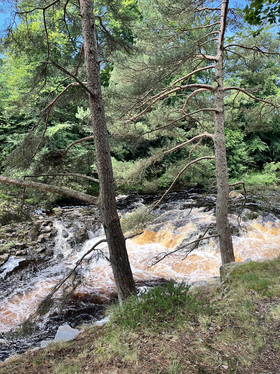 ionarees's tweet photo. #LowForceWaterfall taken on Sunday
#CountyDurham https://t.co/9xV0XmscJe