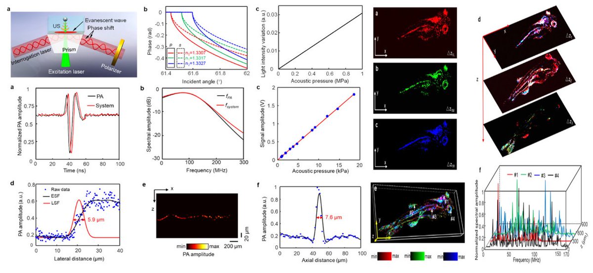 medntdj's tweet image. In vivo spatial-spectral photoacoustic microscopy enabled by optical evanescent wave sensing
sciencedirect.com/science/articl…
#Photoacoustic microscopy #Optical evanescent wave sensing #Spatial-spectral imaging #In vivo imaging  #MedTwitter #scicomm #MedEd #AcademicTwitter