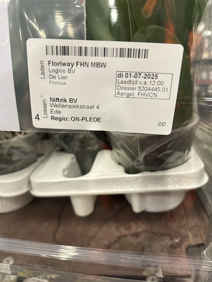 Martin van Geest tweet media