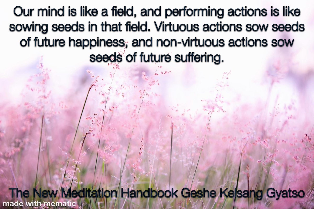 MeditationCT's tweet image. 