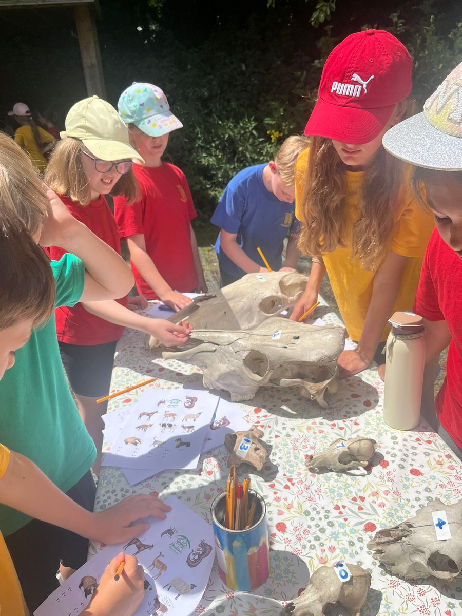 A hot, exhausting, but enjoyable and interesting trip to Monkton Nature Reserve.