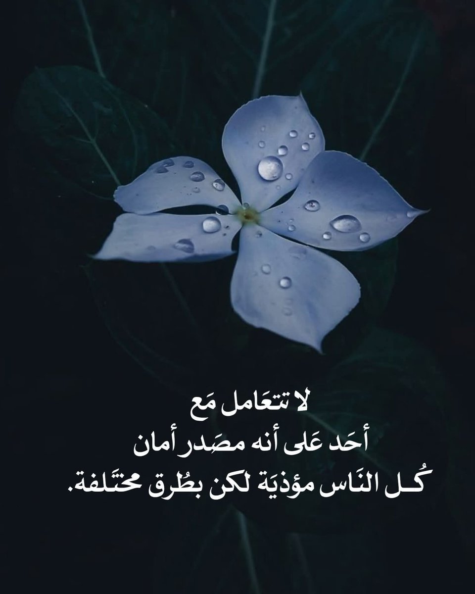 "مررنا بِمواقف كثيرة فهمنا منها أنَ لا أحد يؤتمن"🌺❤️