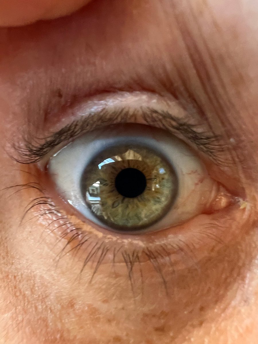 Bobby Freiler tweet media