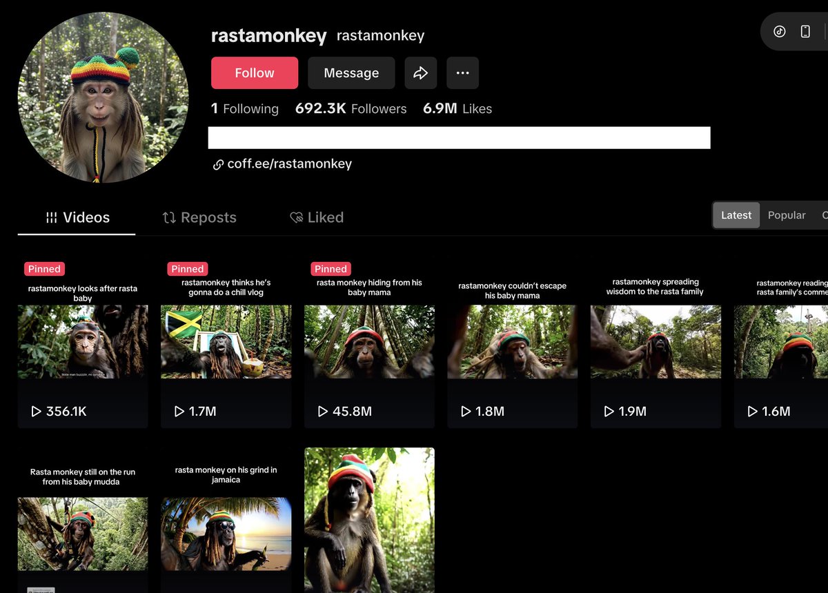 Samba_xeyo's tweet image. this account on tiktok is PRINTING money
- 9 videos
- 72M views
- $25K worth of guides sold
you could easily create an account like this
rt + comment “rasta” and I’ll show you how
(must follow to get dm)