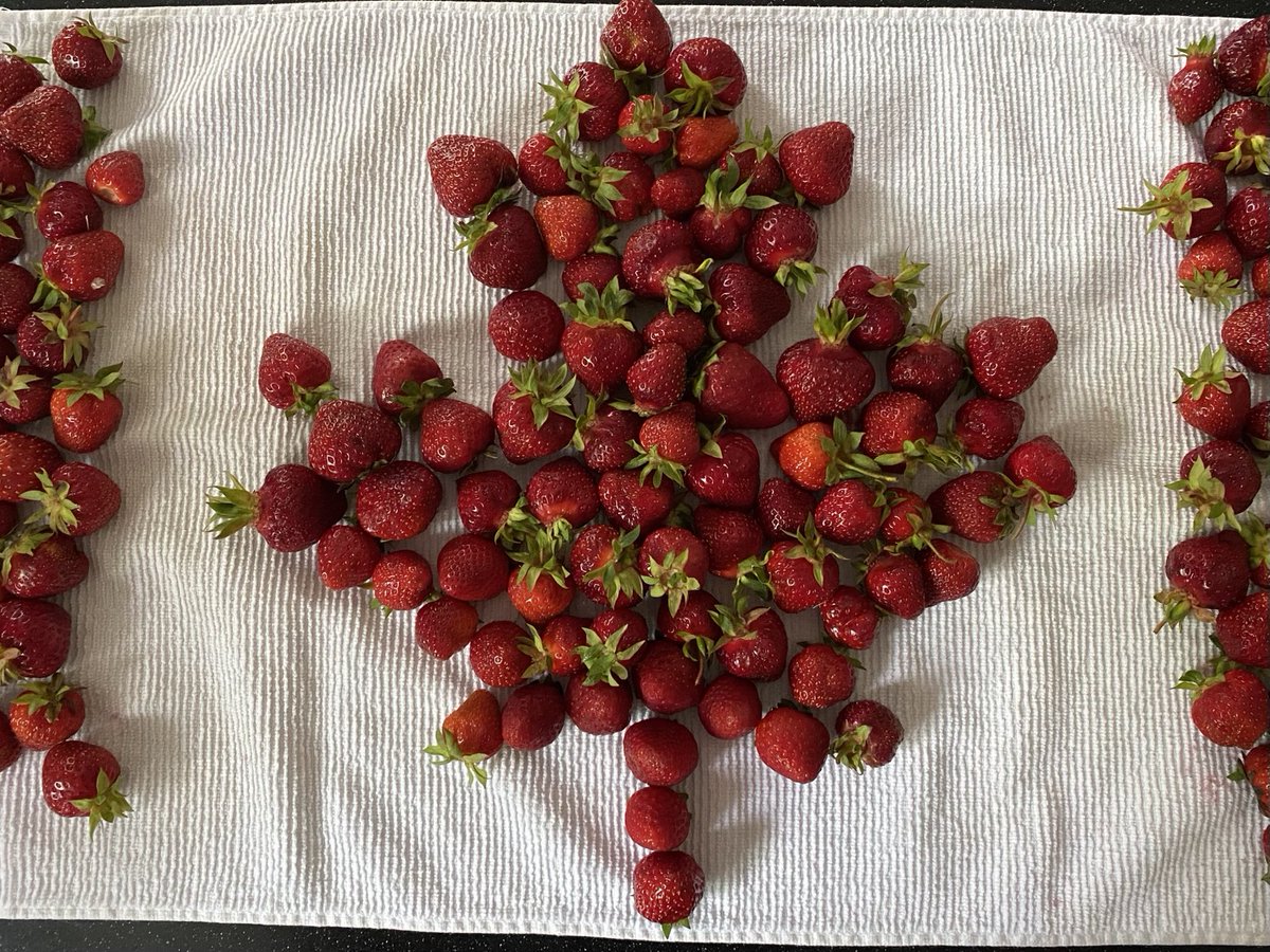 Todd Battis (@battisctv) on Twitter photo 