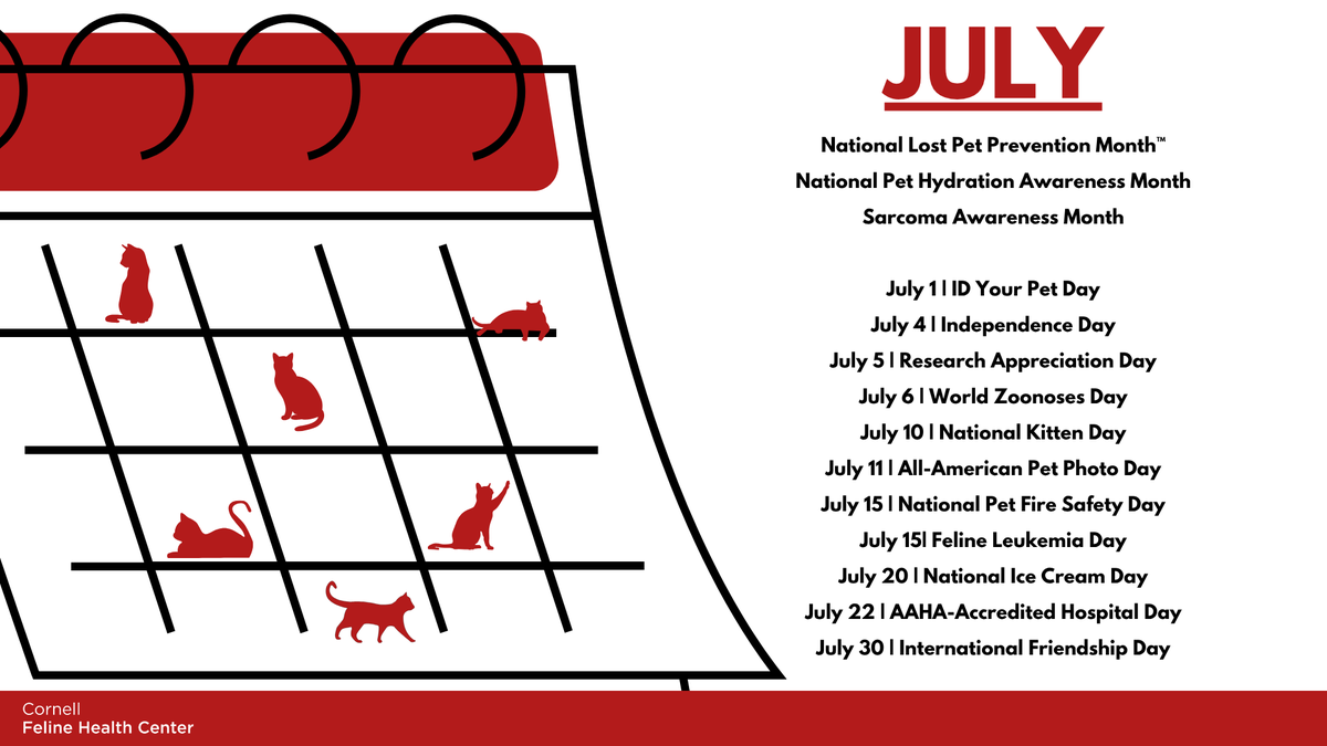 Here is a look at some of the important dates and themes coming up! We'll have more info and showcase additional days as we progress through the month. 🐱
