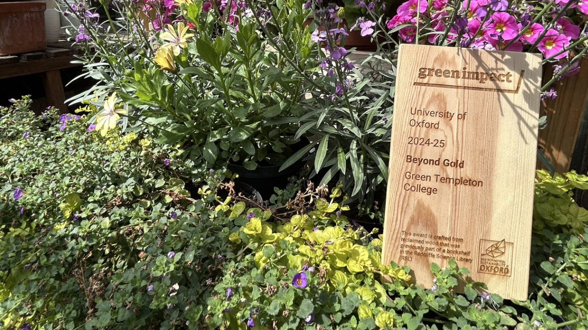 The college is proud to have achieved a Green Impact Beyond Gold Award for the third year running! 🌿💚 

Announced at the Vice-Chancellor’s Sustainability Awards, it celebrates our continued commitment to sustainability and progress on key projects.

gtc.ox.ac.uk/news-and-event…