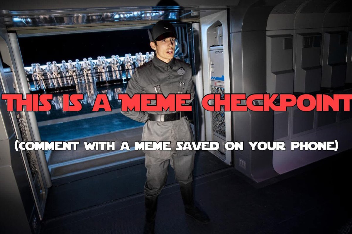 🚨MEME CHECKPOINT🚨