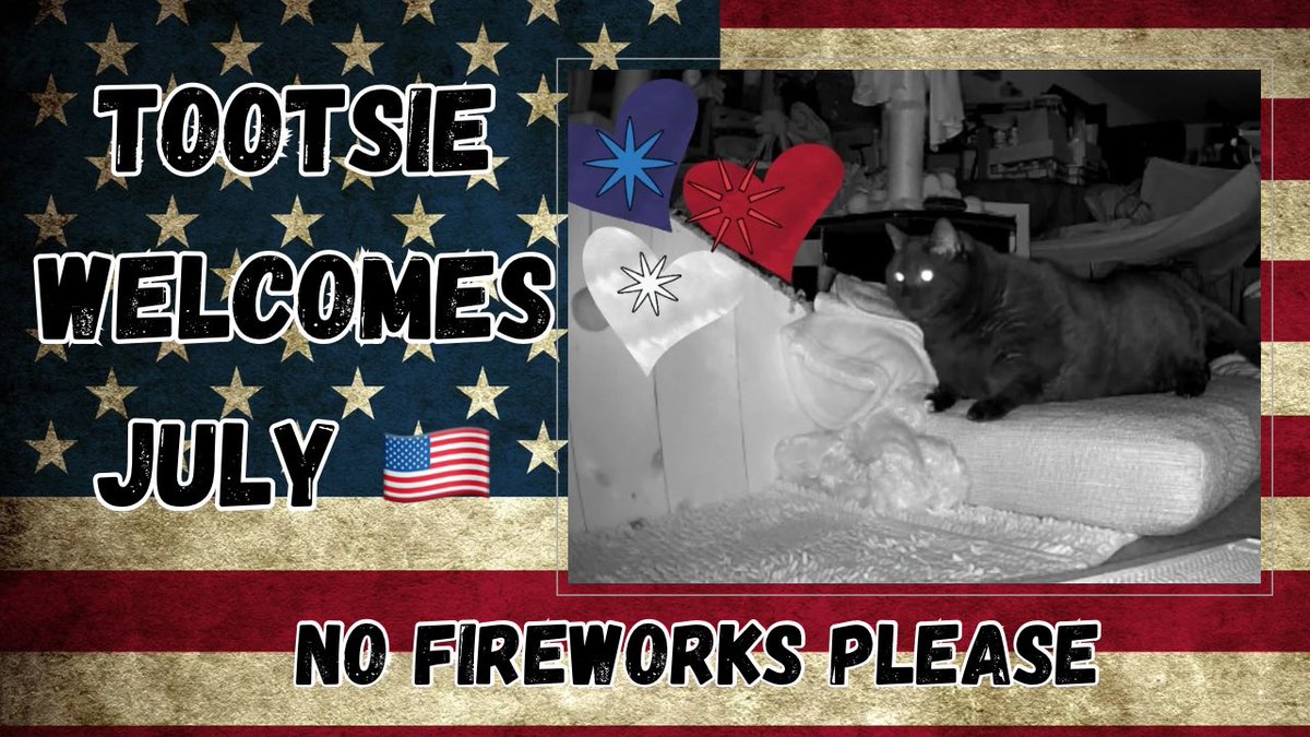 1976) Tootsie (Welcomes July 🇺🇸)  no fireworks please youtu.be/_gsVf0L0_LA?si… via <a href="/YouTube/">YouTube</a>