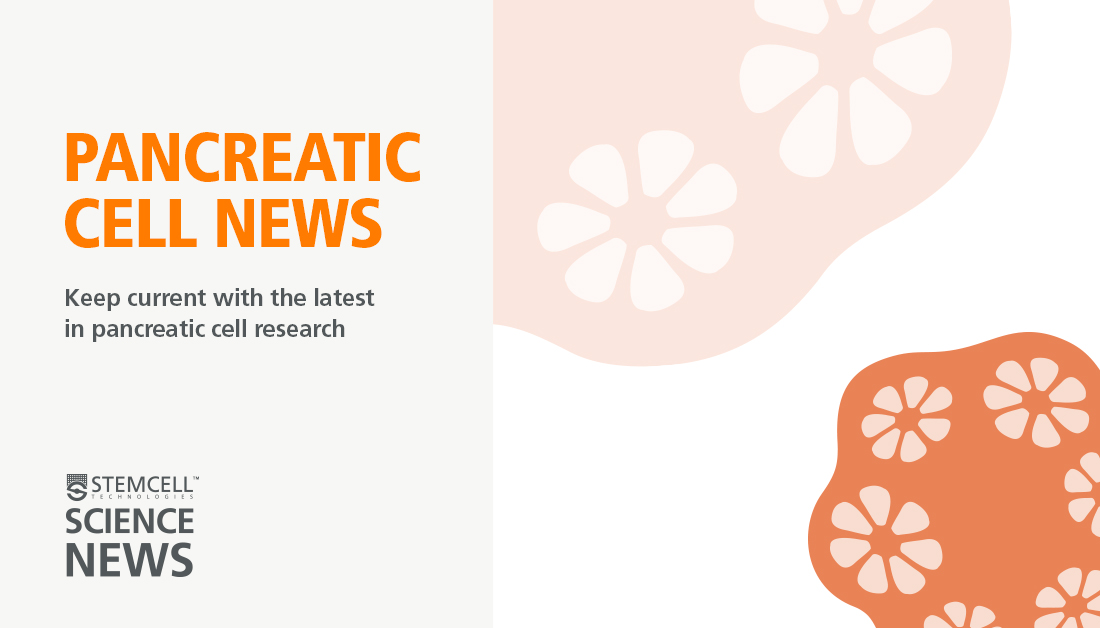 PancreaticCell's tweet image. Stay on top of pancreatic science with curated updates from Pancreatic Cell News by @STEMCELLTech Science News.
Subscribe now!
bit.ly/4kkWMEu