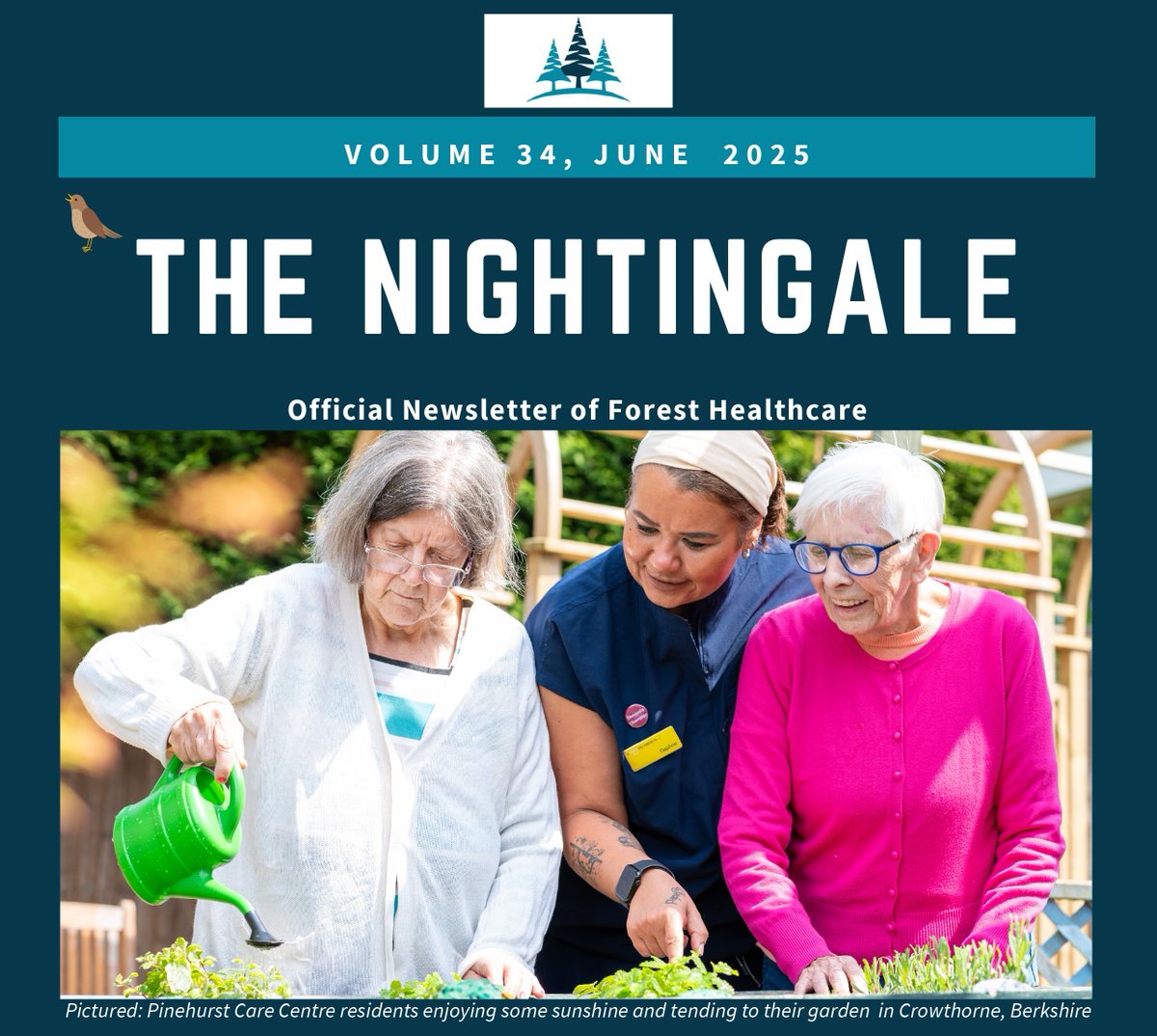 The June Nightingale is live✨ 

Click on the link below to catch up on all things Forest HC. We hope you enjoy reading it 😊

foresthc.com/the-nightingal…