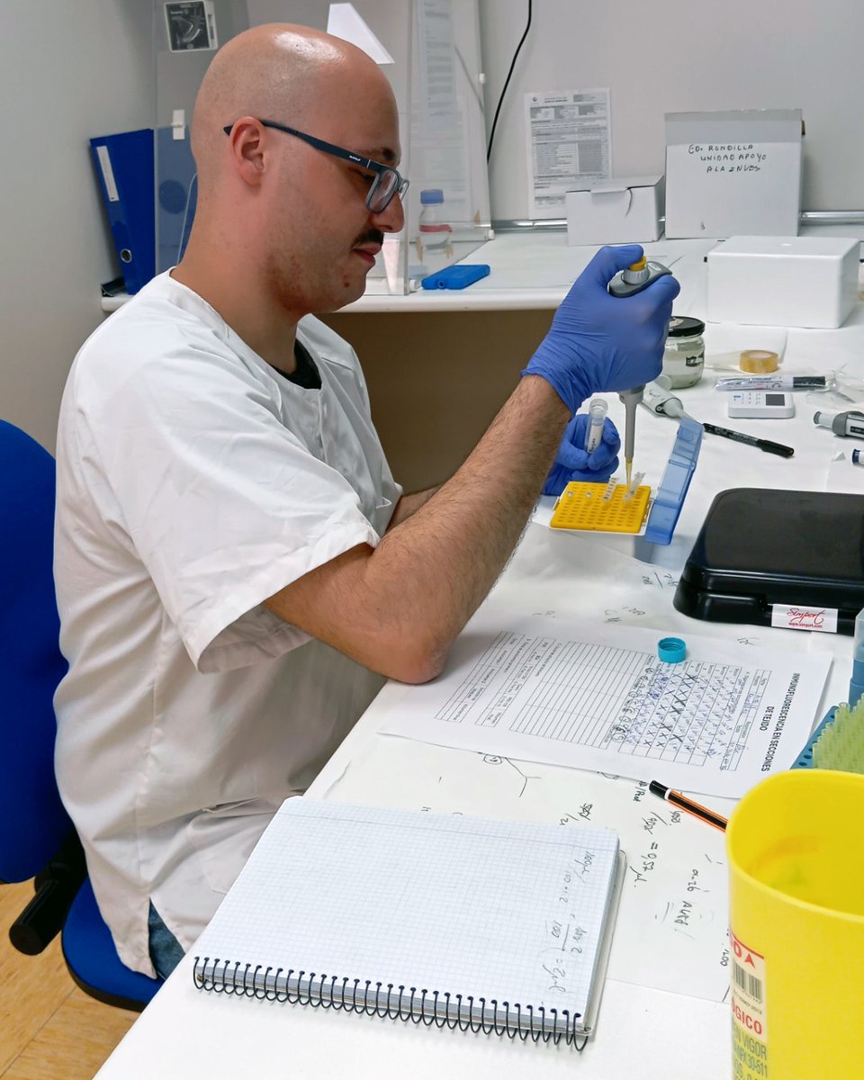 UVadivulga (@uvadivulga) on Twitter photo 🧪 Martín Toribio es investigador predoctoral en la @ESdUva y trabaja con virus respiratorios y su relación con el dolor en el <a href="/CentroGripe/">Centro Nacional de Gripe de Valladolid</a>
🗨️ "Es parte de nuestra labor como investigadores explicarle a la sociedad qué hacemos con el dinero que se invierte en nuestro trabajo" 🧪 Martín Toribio es investigador predoctoral en la @ESdUva y trabaja con virus respiratorios y su relación con el dolor en el <a href="/CentroGripe/">Centro Nacional de Gripe de Valladolid</a>
🗨️ "Es parte de nuestra labor como investigadores explicarle a la sociedad qué hacemos con el dinero que se invierte en nuestro trabajo"