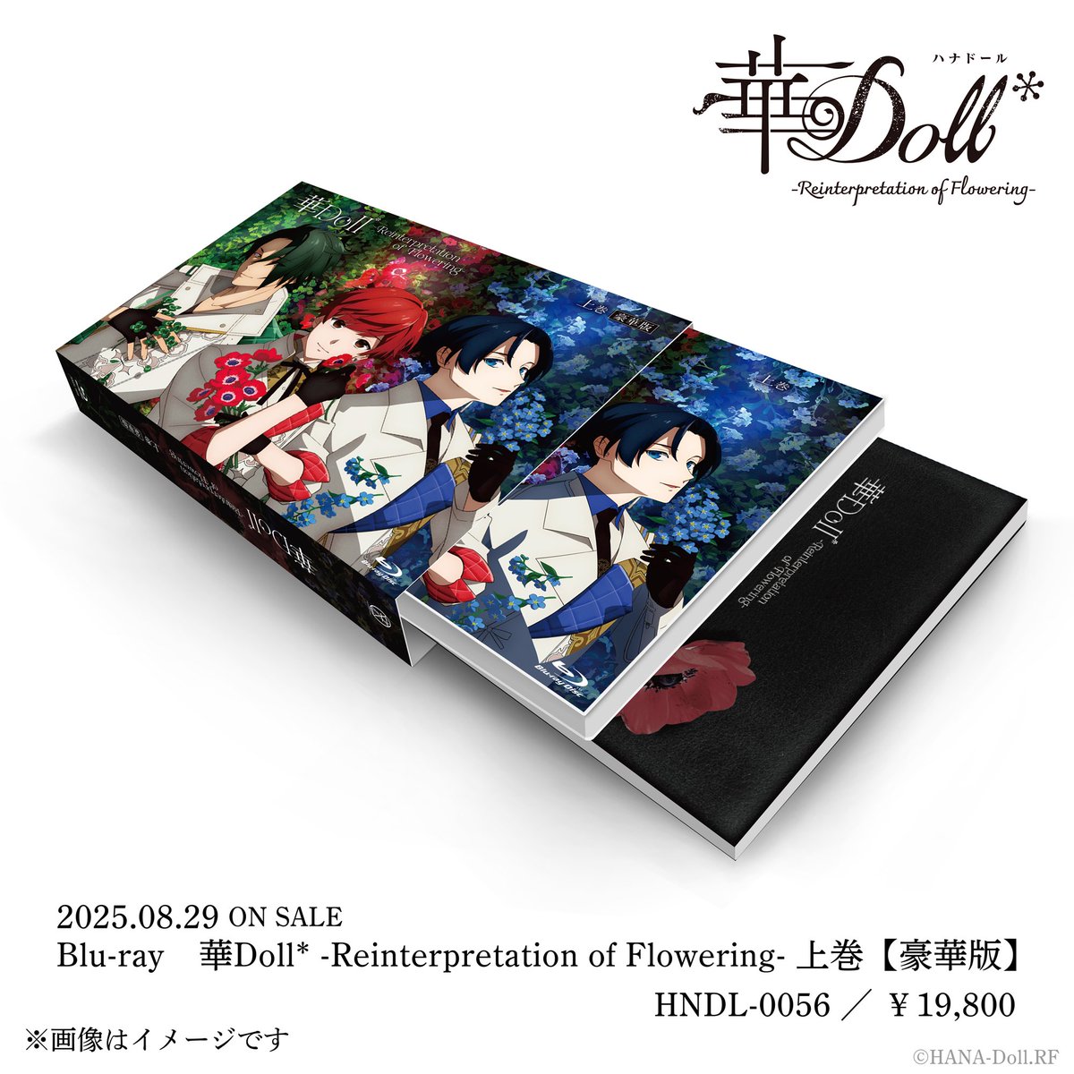 ［notice］
━━━━━━━━━━━━
#華Dollアニメ 
アニメイト、ステラワース、ムービック通販
Blu-ray上巻・下巻豪華版 上下巻予約有償特典
💐ご予約は本日まで💐
━━━━━━━━━━━━

◼️グッズ内容
・特製アクリルディスクフレーム
・特製カード2種

◼️価格
￥4,400（税込）

◼️予約締切