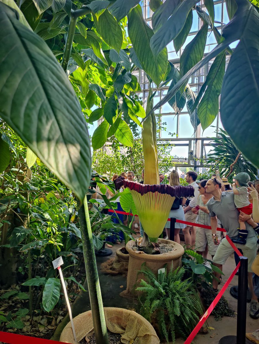 Markus Pichlmaier tweet media