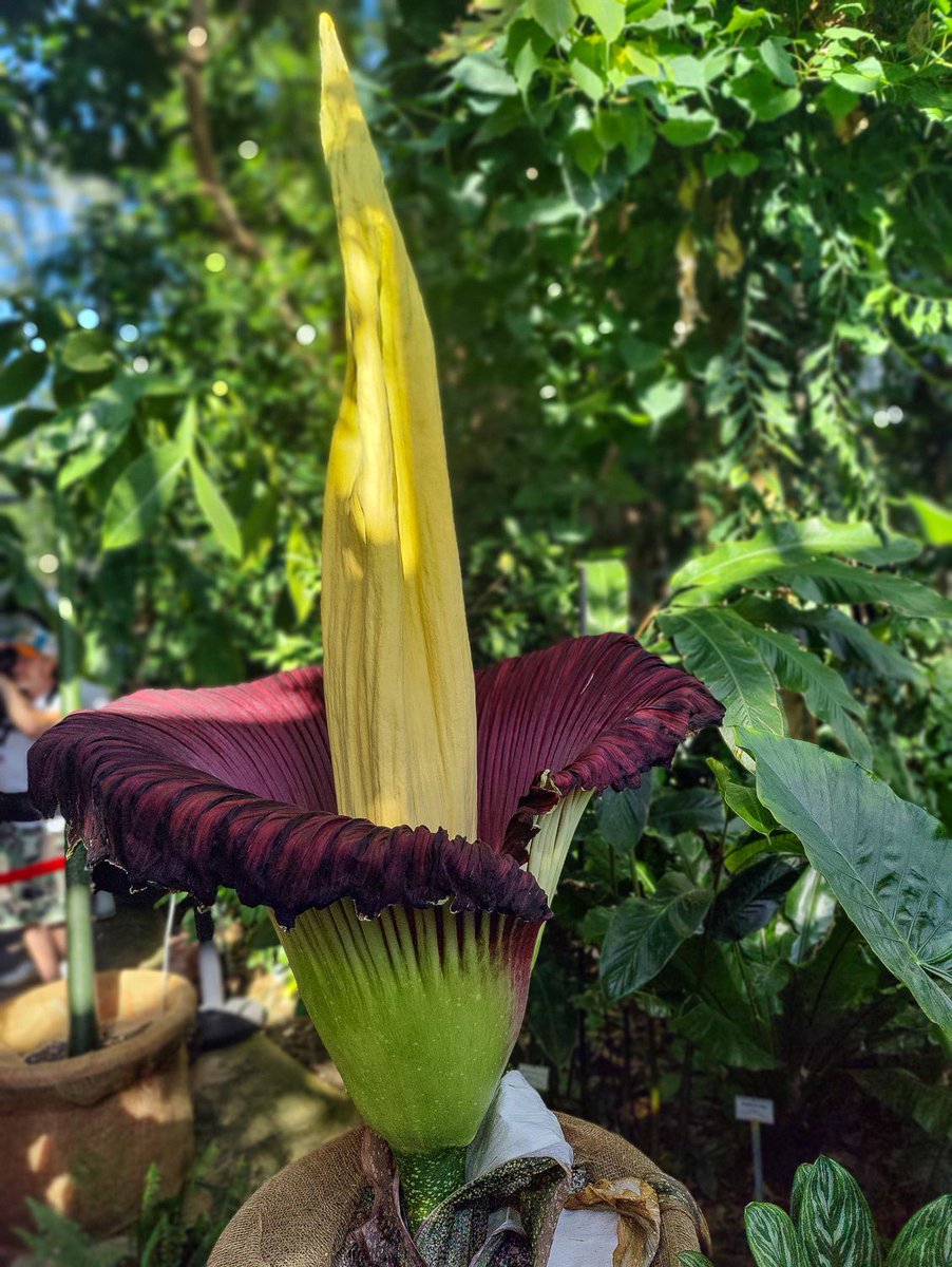 Markus Pichlmaier tweet media